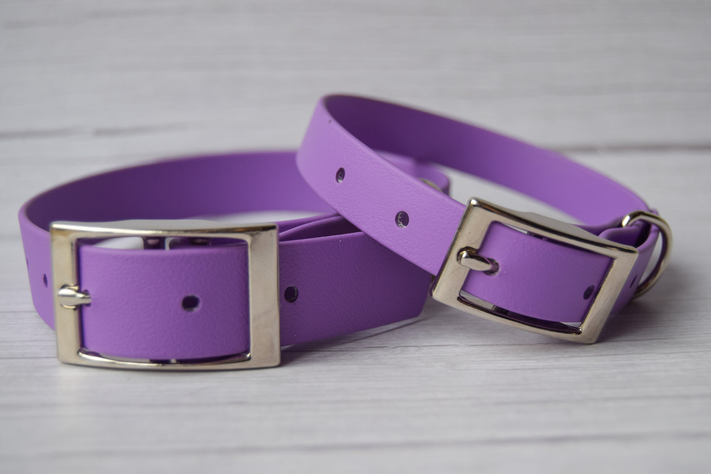 Lilac Biothane Collar