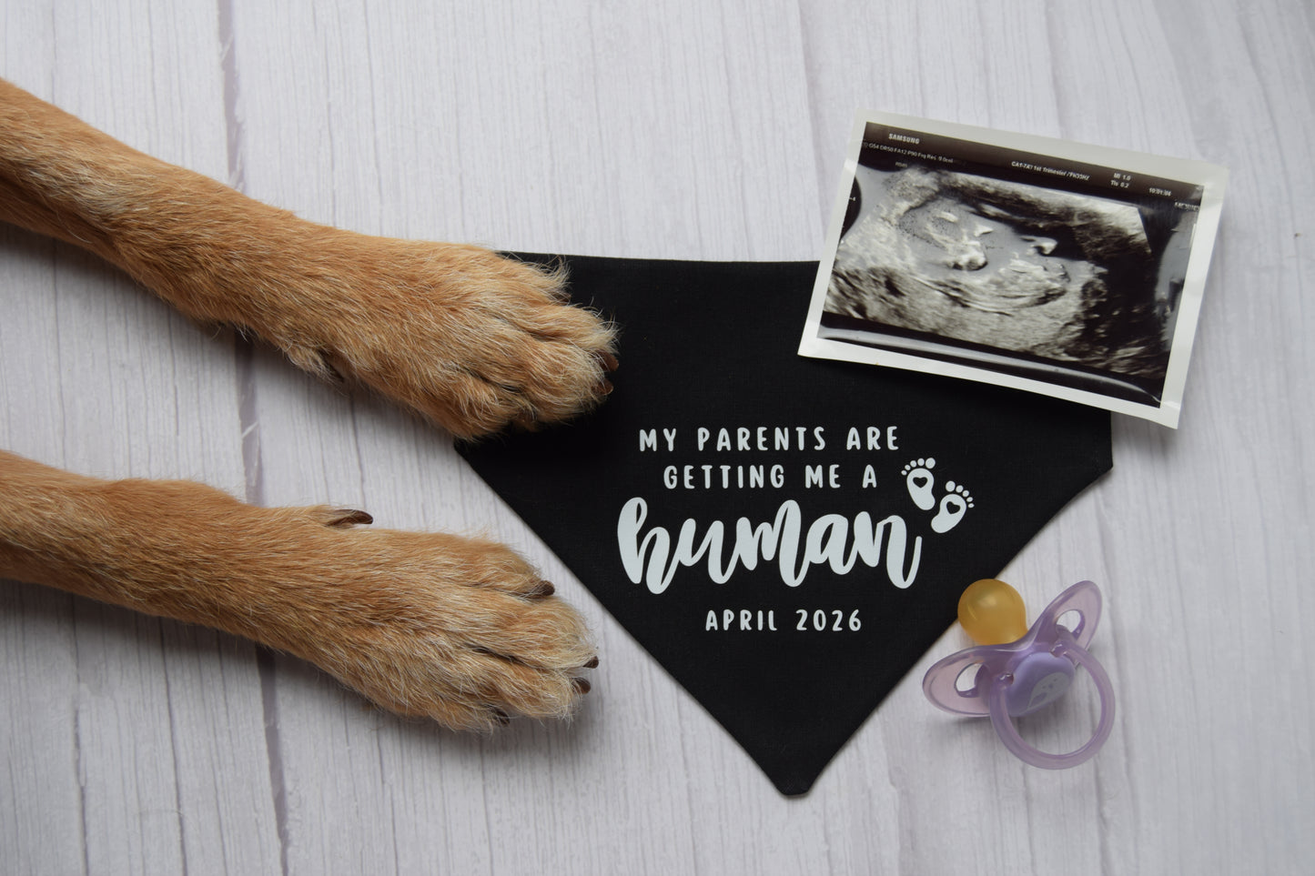 "My Parents are Getting me a Human" Bandana