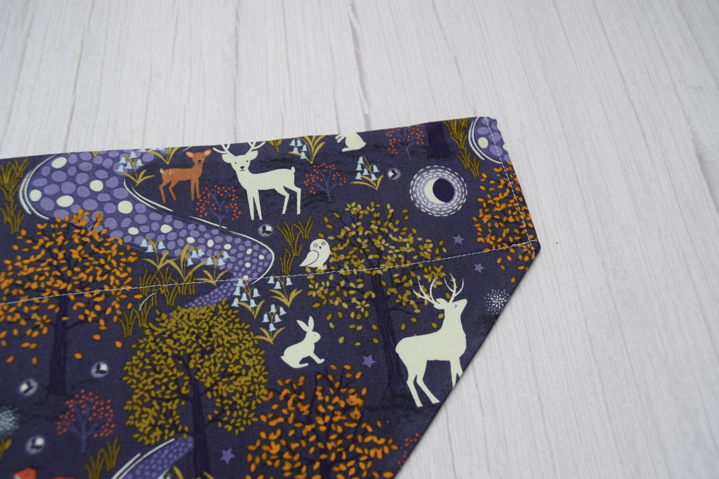 Winter Forest Bandana