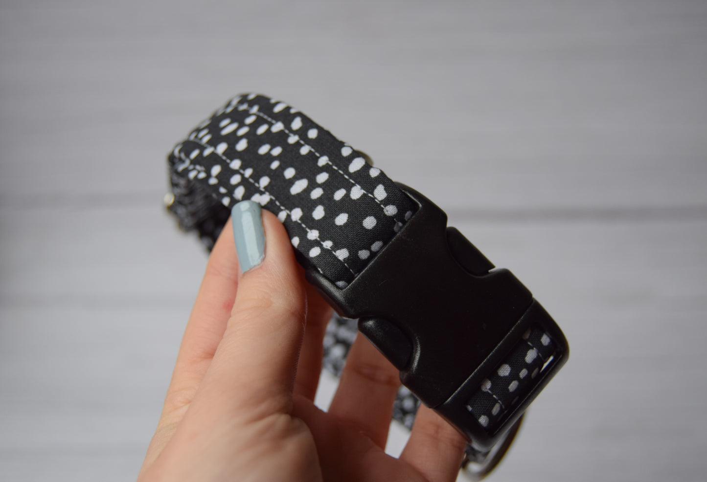 Black Dalmatian Print Collar