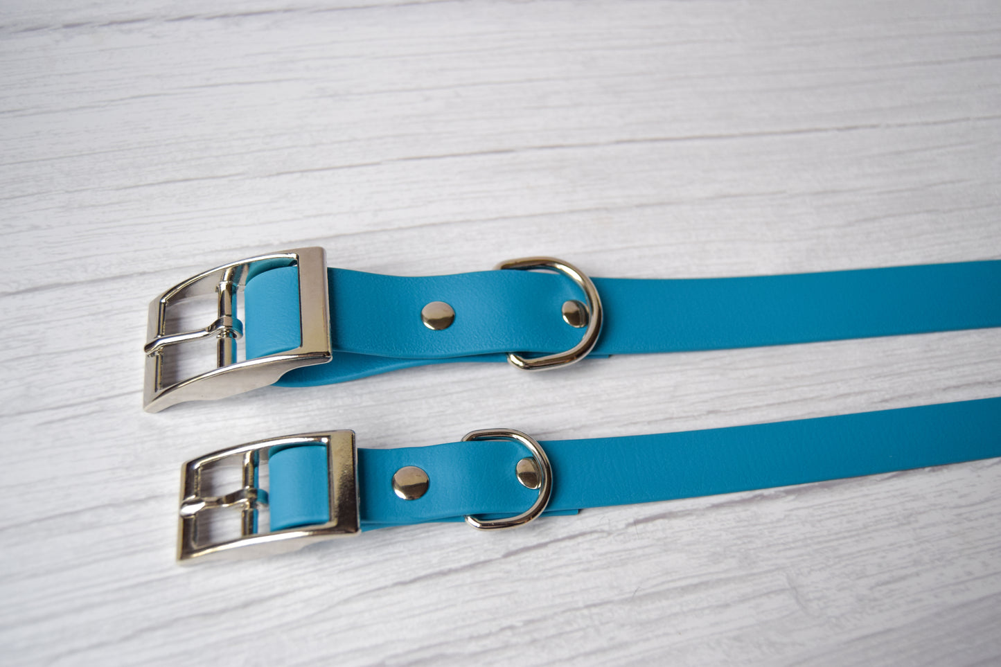 Teal Biothane Collar