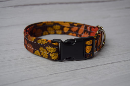 Autumn Leaves Dog Collar