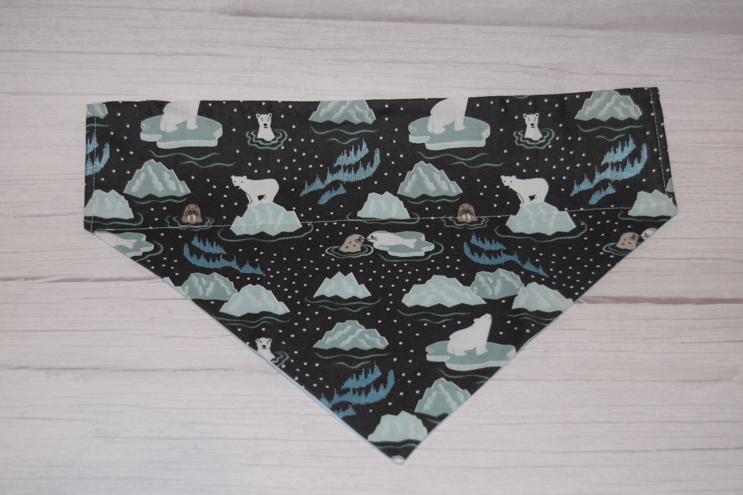 Northern Lights Bandana