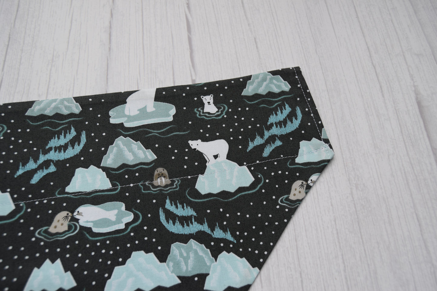 Northern Lights Bandana