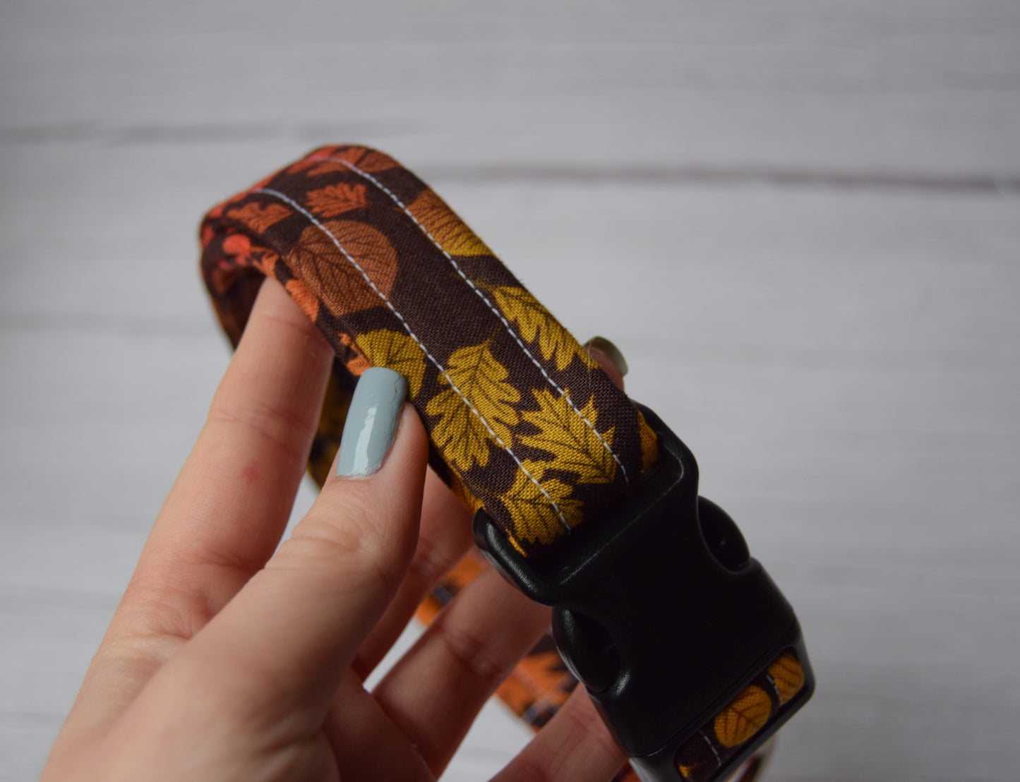 Autumn Leaves Dog Collar