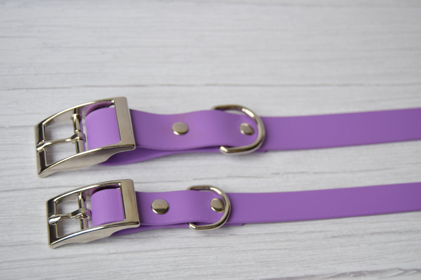 Lilac Biothane Collar