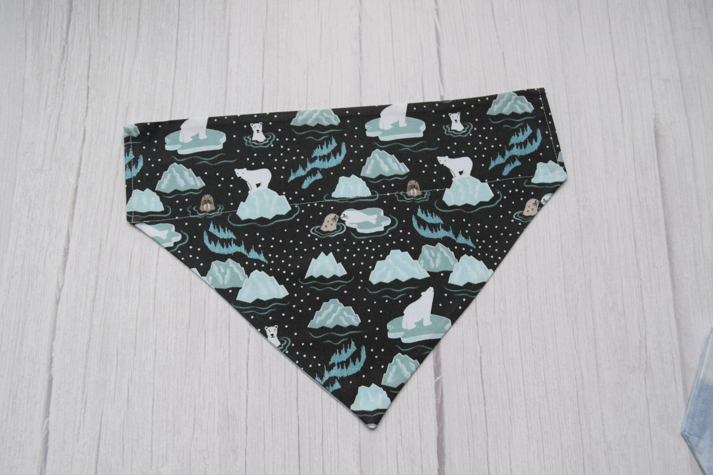Northern Lights Bandana