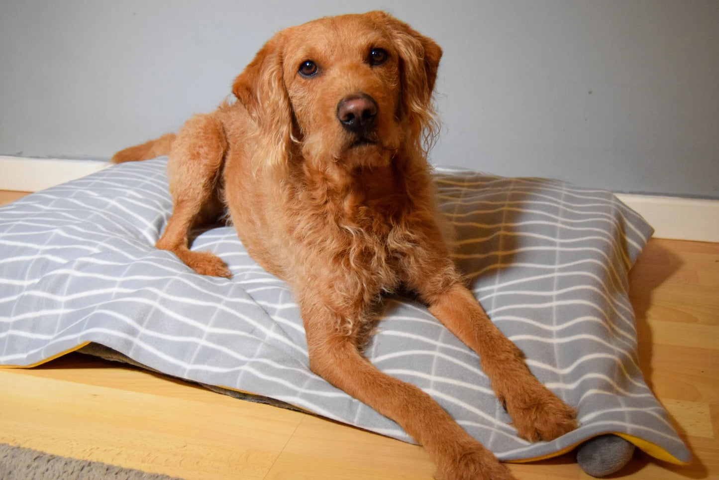 Fleece Dog Blanket