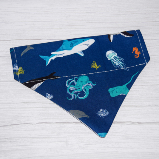 Under the Sea Bandana