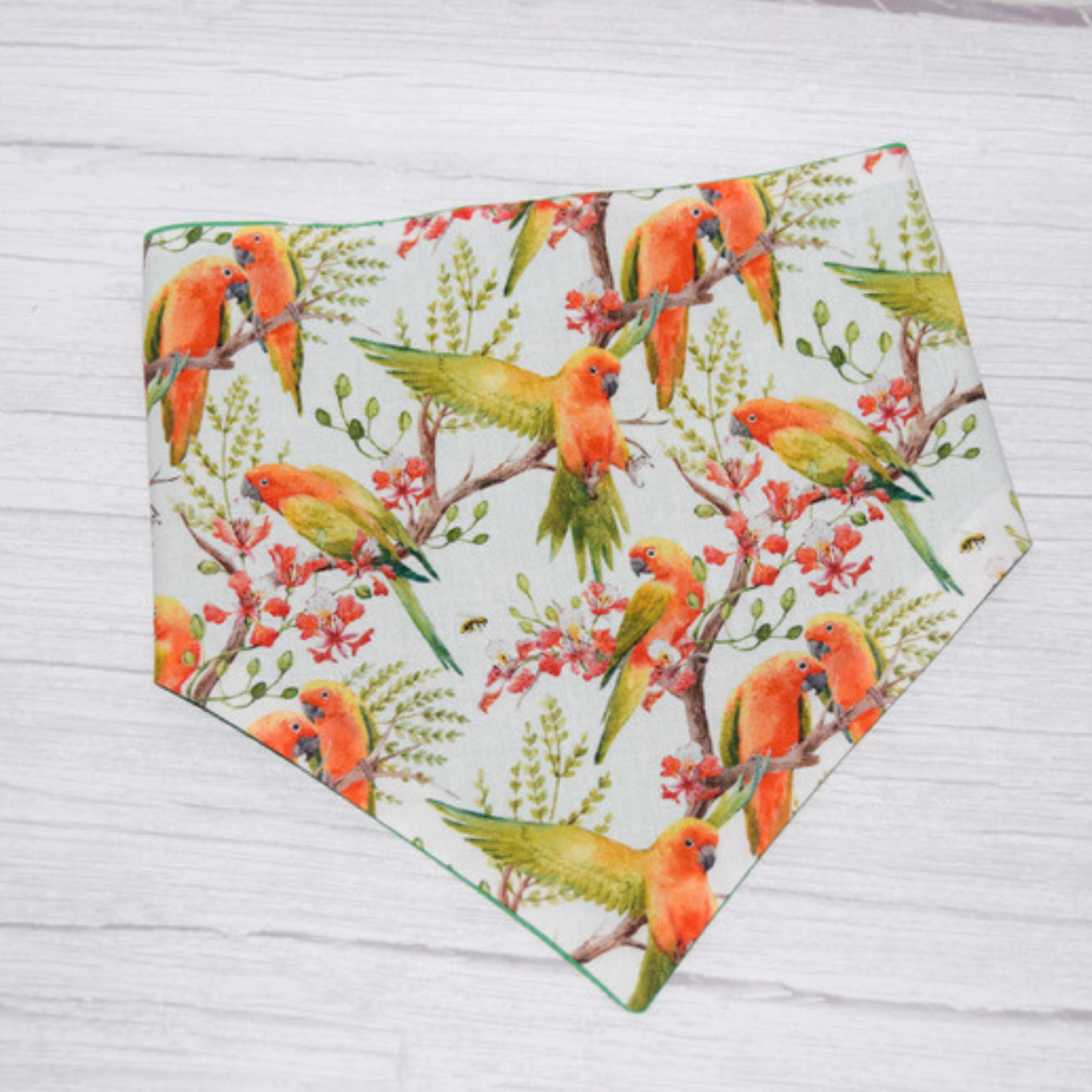 Pretty Parrots Bandana