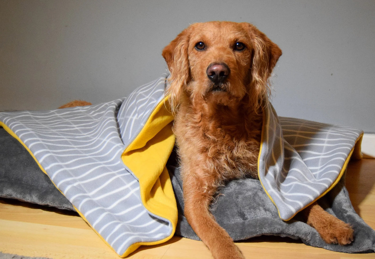 Fleece Dog Blanket